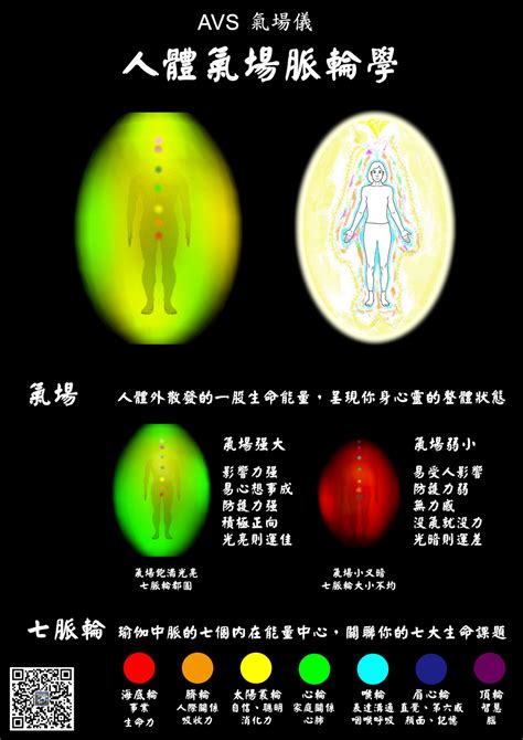 氣的流動|人體氣的運作機理(下)